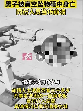 女生和室友吵架亲手从14楼扔下对方2只猫？撕X聊天记录和视频被扒太癫了（组图） - 14