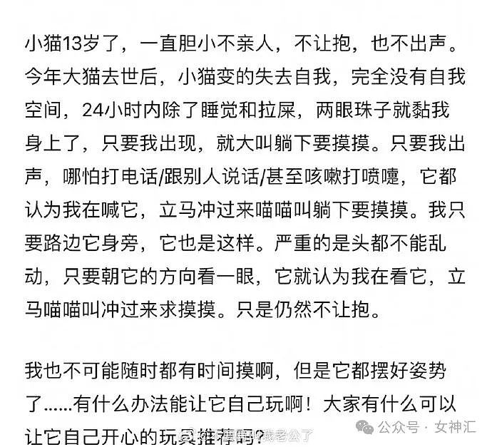 【爆笑】男朋友花6千送我BV的手链，结果...网友迷惑：这不是几个回形针连起来的吗？（组图） - 33