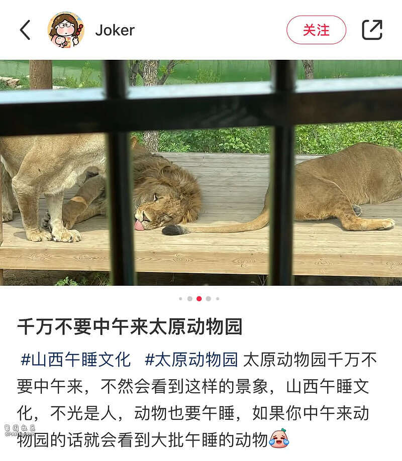 “中午是攻打山西最好的时机“，北上广打工人破防了（组图） - 25