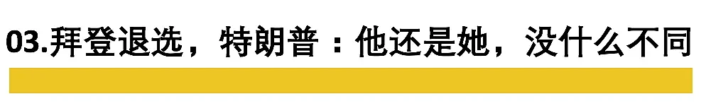 “弄死”特朗普，能指望这个印度裔女人吗（组图） - 13