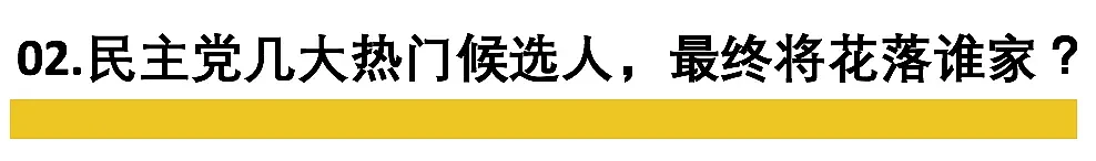 “弄死”特朗普，能指望这个印度裔女人吗（组图） - 5