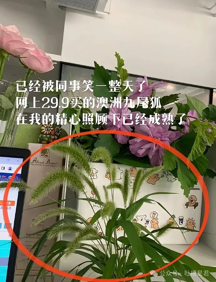 【爆笑】男友装的超绝浴室？看了想分手？网友：你男友是蜘蛛侠吗（视频/组图） - 38