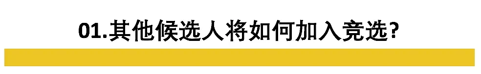 “弄死”特朗普，能指望这个印度裔女人吗（组图） - 3