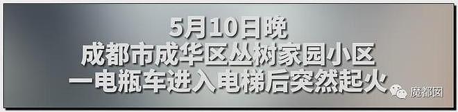 惨不忍睹！拎电池进电梯瞬间爆燃，猛火吞噬逃不掉活活被烧（组图） - 65