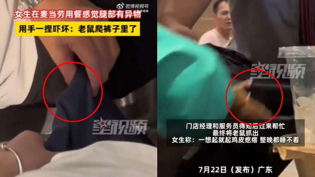 以为是虫！大陆女吃一半“异物钻裤管”，手捏崩溃了：老鼠爬到大腿（图） - 1