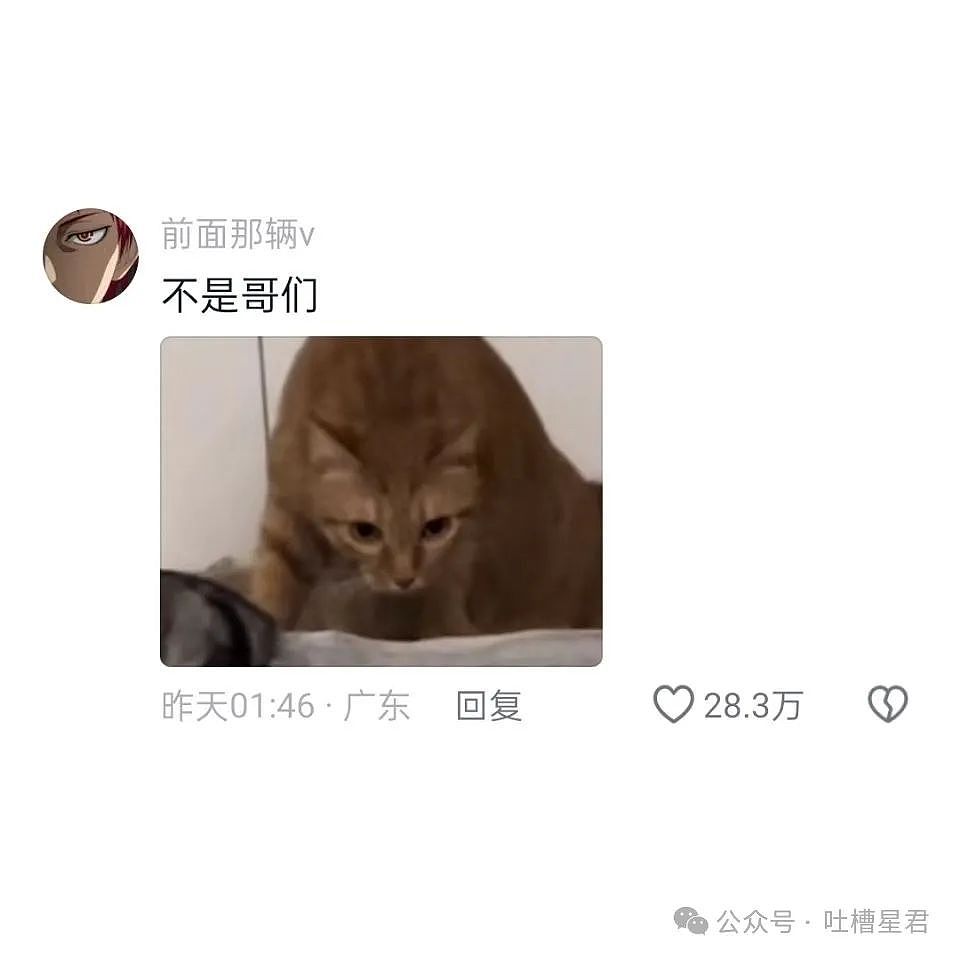 【爆笑】“姑姑劝我分手让男友跟她女儿在一起？”网友震惊：真是活久见啊（组图） - 58