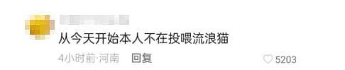 全网炸锅！上海小伙投喂流浪猫被判赔24万？真相没有那么简单…（组图） - 6