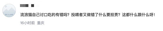 全网炸锅！上海小伙投喂流浪猫被判赔24万？真相没有那么简单…（组图） - 5