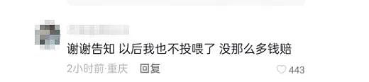 全网炸锅！上海小伙投喂流浪猫被判赔24万？真相没有那么简单…（组图） - 7