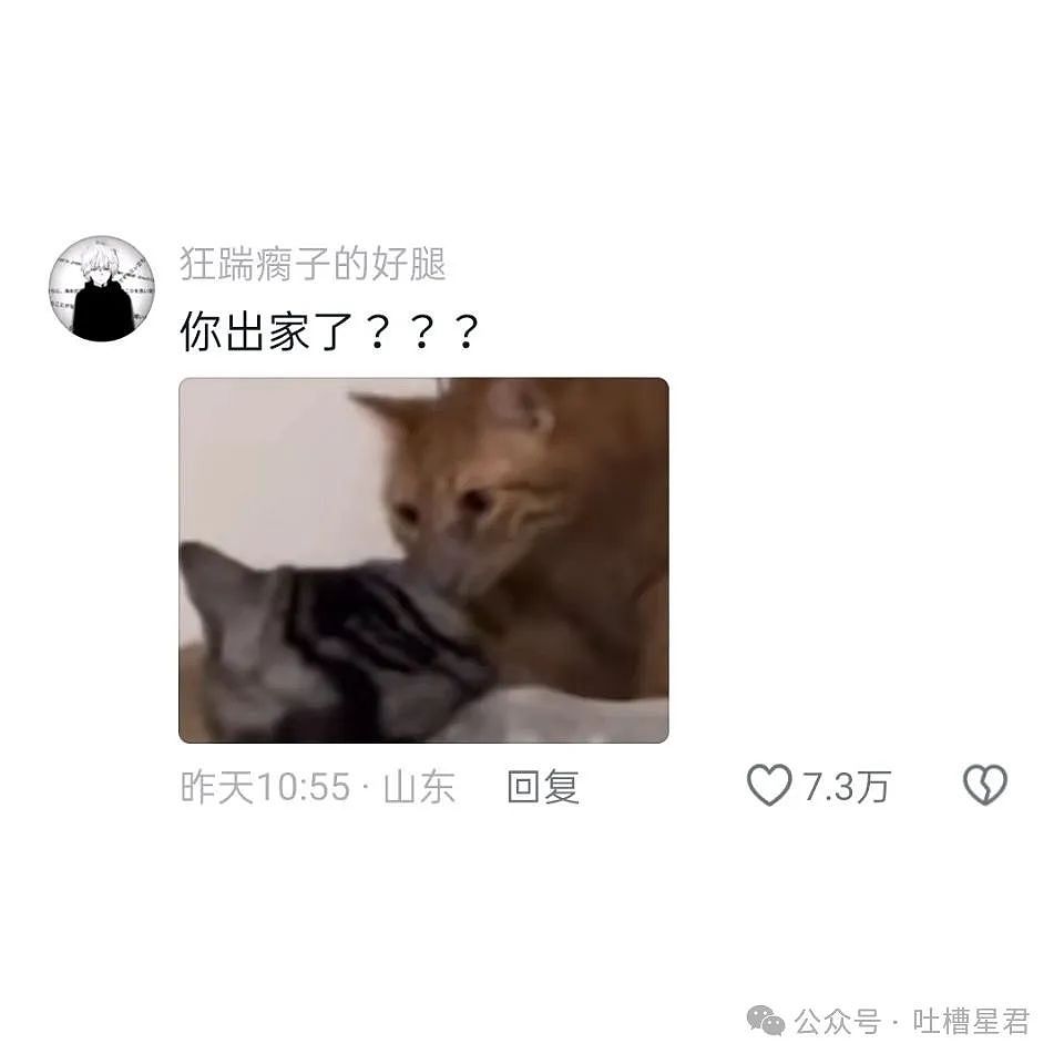 【爆笑】“姑姑劝我分手让男友跟她女儿在一起？”网友震惊：真是活久见啊（组图） - 59