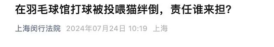 全网炸锅！上海小伙投喂流浪猫被判赔24万？真相没有那么简单…（组图） - 2