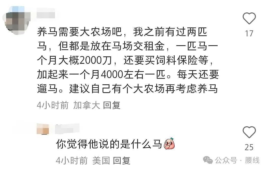 年薪200万却在小红书上哭穷，湾区码农的自负与自卑（组图） - 8