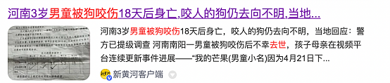 全网炸锅！上海小伙投喂流浪猫被判赔24万？真相没有那么简单…（组图） - 11