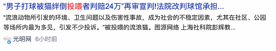 全网炸锅！上海小伙投喂流浪猫被判赔24万？真相没有那么简单…（组图） - 3