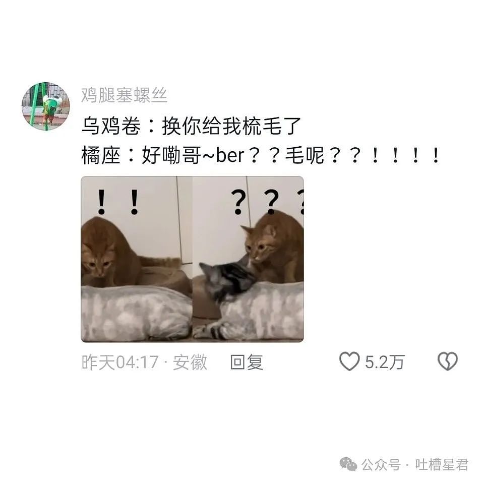 【爆笑】“姑姑劝我分手让男友跟她女儿在一起？”网友震惊：真是活久见啊（组图） - 61