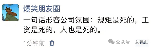 【爆笑】我弟弟找了个比他大33岁的富婆姐？网友迷惑：这操作令人目瞪口呆（组图） - 29