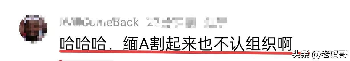 胡锡进炒股总亏损首次突破10万！称“炒成这成绩有点惭愧”，网友：缅A专治各种不服（组图） - 6