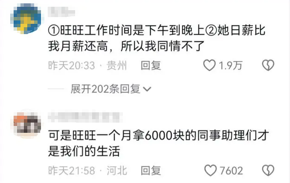 月入80万嫌压力大？28岁朱旺旺的逆袭神话，背后竟是精心预谋？（组图） - 3