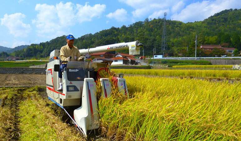 中国农村老龄化 60岁算年轻！农民断层粮食咋办？（组图） - 13