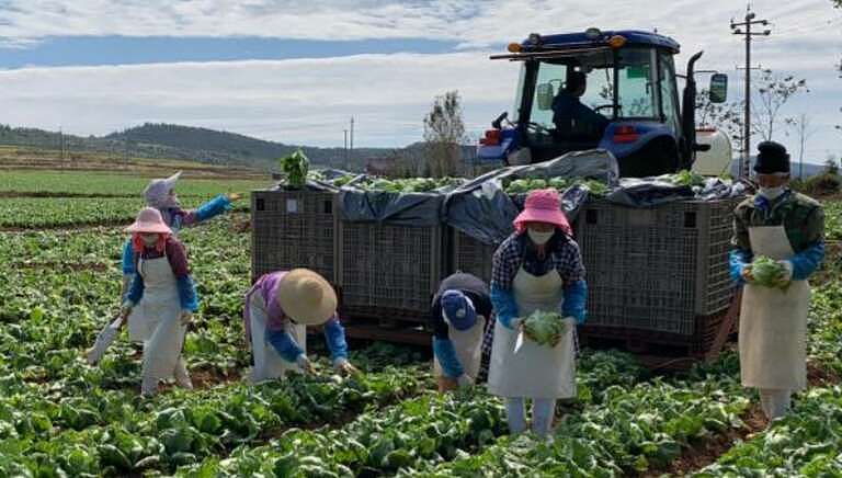 中国农村老龄化 60岁算年轻！农民断层粮食咋办？（组图） - 8