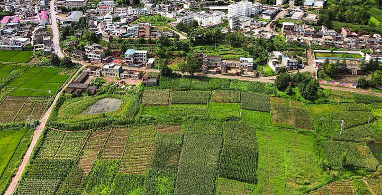 中国农村老龄化 60岁算年轻！农民断层粮食咋办？（组图） - 7