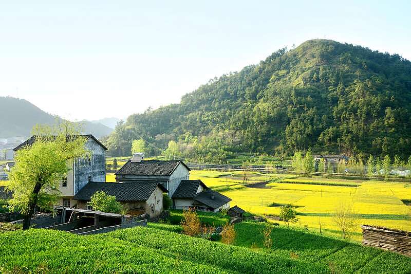 中国农村老龄化 60岁算年轻！农民断层粮食咋办？（组图） - 16