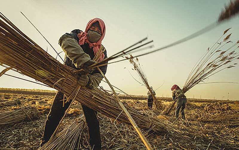 中国农村老龄化 60岁算年轻！农民断层粮食咋办？（组图） - 5