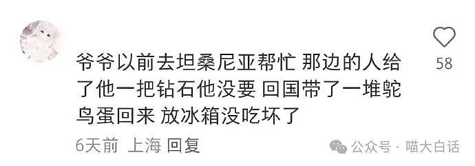 【爆笑】“奥运会的翻译能水到什么程度？”哈哈哈哈哈世界是一个巨大的草台班子（组图） - 62