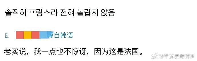 韩国人震怒、赞助商撤资、奥组委道歉…巴黎开幕24小时这么多抓马！（组图） - 18