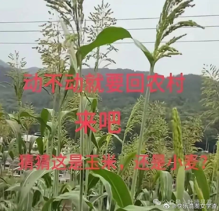 【爆笑】“无意间发现男友吃阻断药？”网友震惊：不分等着跟他吃同一瓶药？（组图） - 28