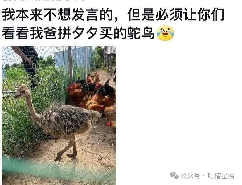 【爆笑】“无意间发现男友吃阻断药？”网友震惊：不分等着跟他吃同一瓶药？（组图） - 76