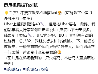 华人切记！千万别在机场做这个，全是坑！稍有不注意就陷入连环套，损失惨重...（组图） - 5