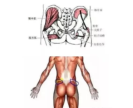 【美女】她是国产“五大臀神”之首？蜜桃臀惹百万直男垂涎！网友：美好肉体看馋了（组图） - 18