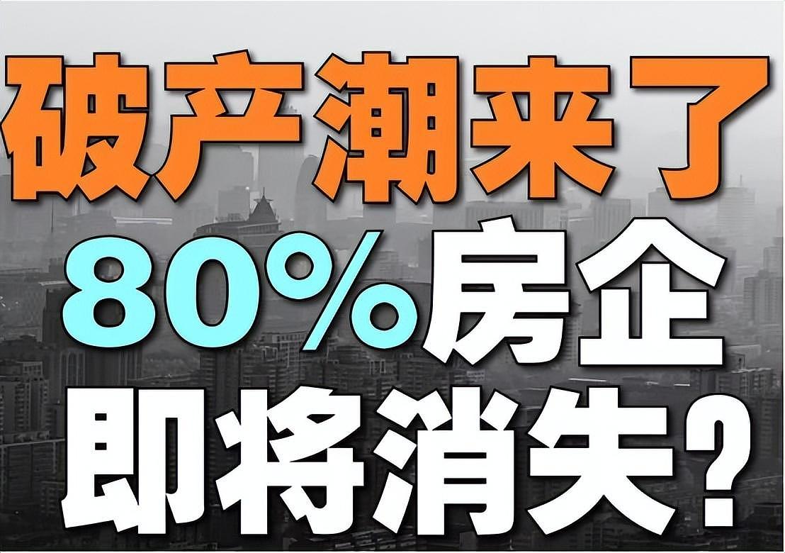 王石再预测中国未来房地产走向：若无意外，或较大概率又是对的（组图） - 10