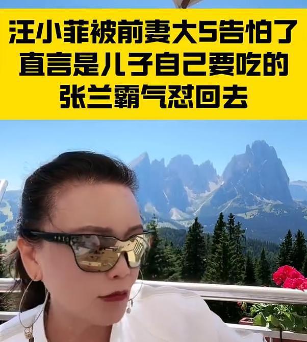 张兰狠批汪小菲怕前妻大S：有什么好怕的，咱们要霸气不要霸道（组图） - 15