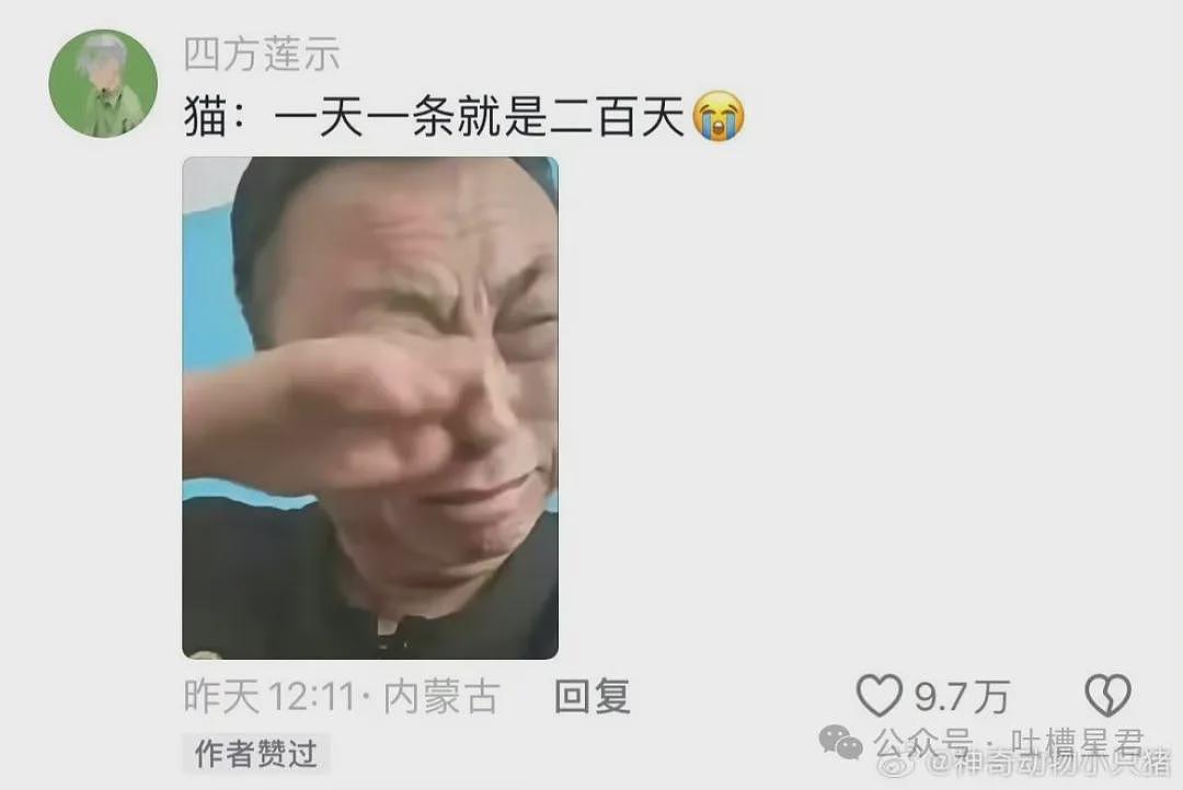 【爆笑】在电影院亲了陌生人一口？网友夺笋：果然惹谁都不能惹打工人（视频/组图） - 26