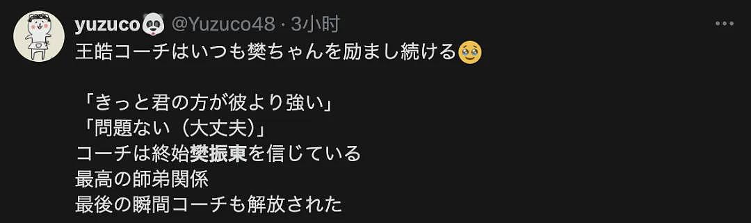 樊振东4:3逆风翻盘战胜张本智和！日本网友：不愧是世界王者！（组图） - 16