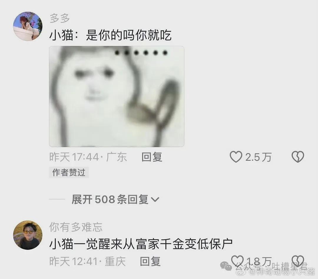 【爆笑】在电影院亲了陌生人一口？网友夺笋：果然惹谁都不能惹打工人（视频/组图） - 27