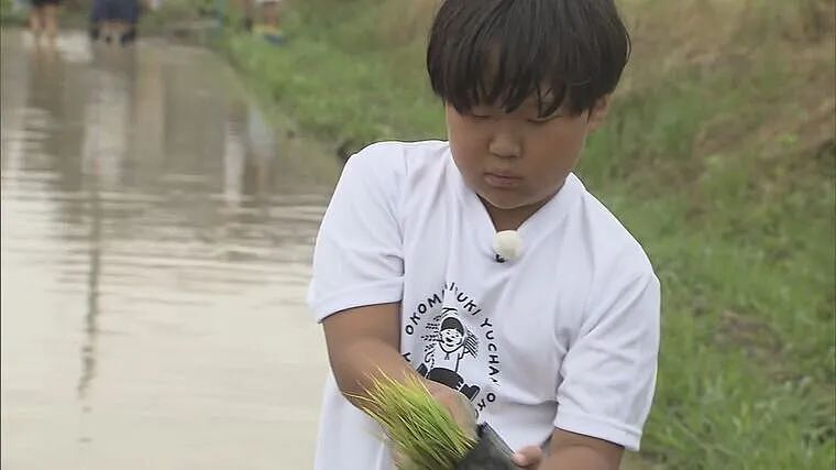 日本一小男孩在暑假租了600㎡地，接下来的操作震惊全网…（组图） - 14