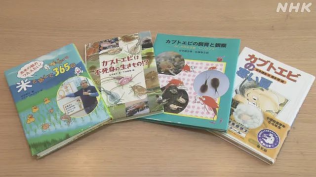 日本一小男孩在暑假租了600㎡地，接下来的操作震惊全网…（组图） - 22