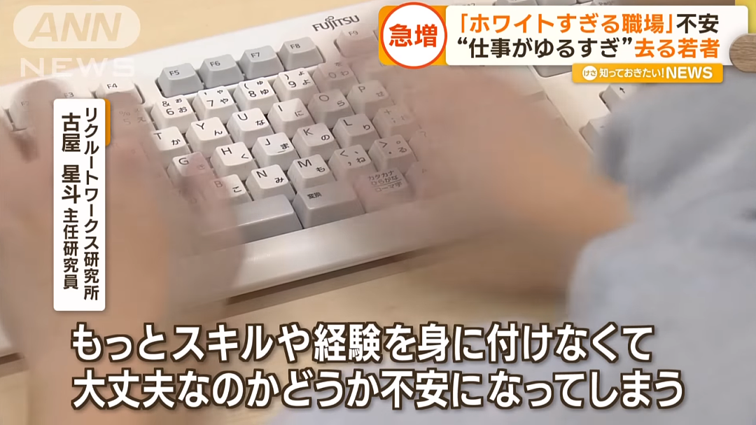 大批日本年轻人，因工作太轻松选择辞职？！中国网友：不是很懂你们日本人…（组图） - 33