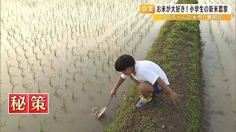 日本一小男孩在暑假租了600㎡地，接下来的操作震惊全网…（组图） - 20