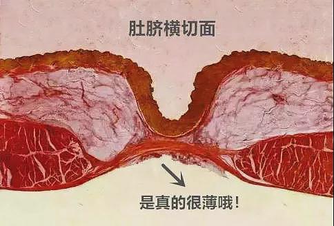 “一生要盖肚脐眼的中国人”，这回奥运冠军比赛时都亲身示范（组图） - 14