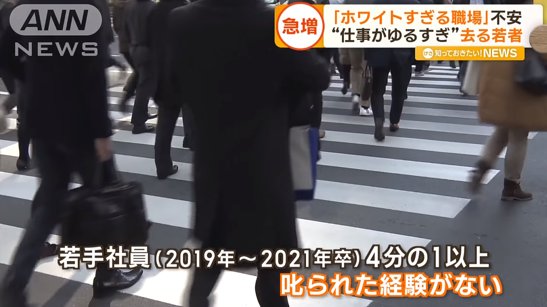 大批日本年轻人，因工作太轻松选择辞职？！中国网友：不是很懂你们日本人…（组图） - 28