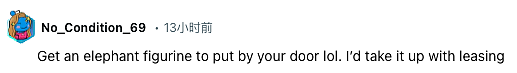 笑死！澳洲邻居“噪音抗议”：养大象了吗？网友：有被笑到！（组图） - 13