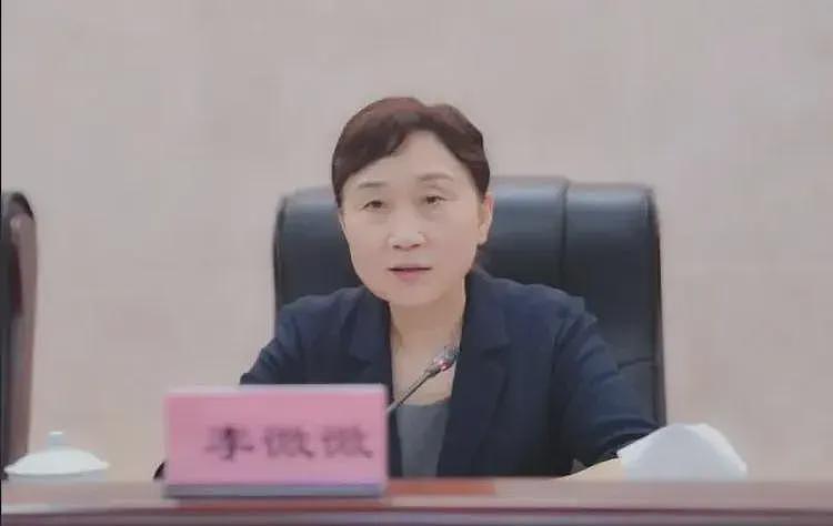 全国最年轻女政协主席落马，又一个“两面人”？（组图） - 4