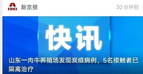 被污染的牛肉加工成肉包子销售…网友们爆出了山东炭疽病的更多内幕（组图） - 1