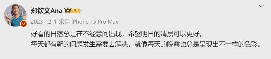 中国妹子，奥运网球首金！教练背叛，美国富家女输球发飙，现在全被打脸了...（组图） - 14