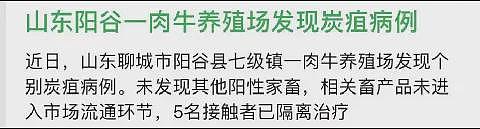 被污染的牛肉加工成肉包子销售…网友们爆出了山东炭疽病的更多内幕（组图） - 10