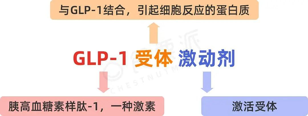 马斯克、明星都在用！下周，全球爆火的减肥神药澳洲开售（组图） - 10